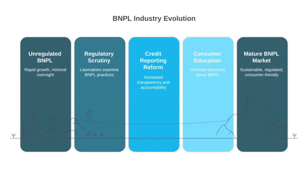 BNPL Industry Evolution