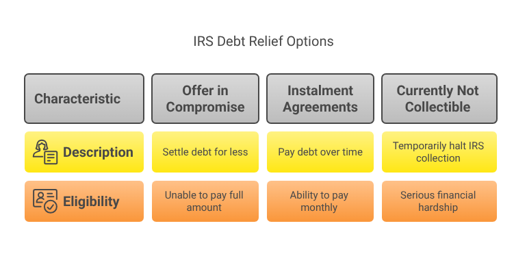 IRS Debt Relief Options